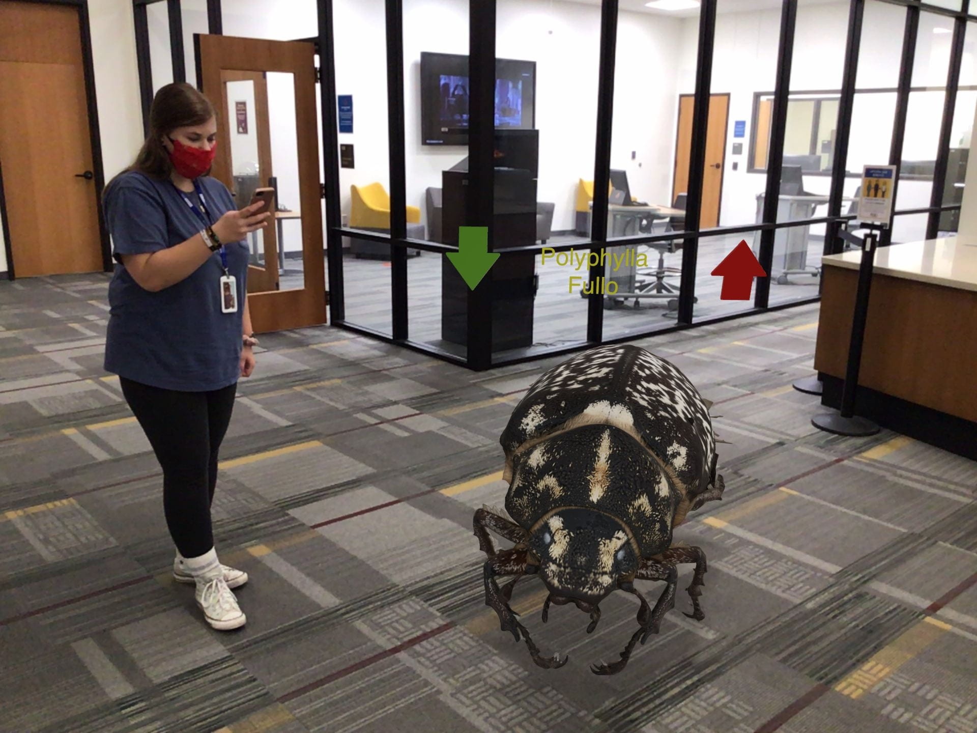 Giant spider added through augmented reality
