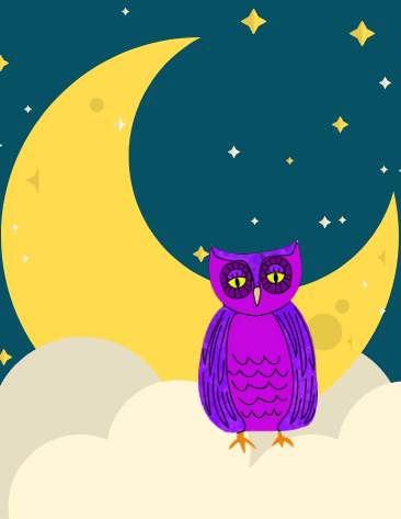 Owl and moon illustration